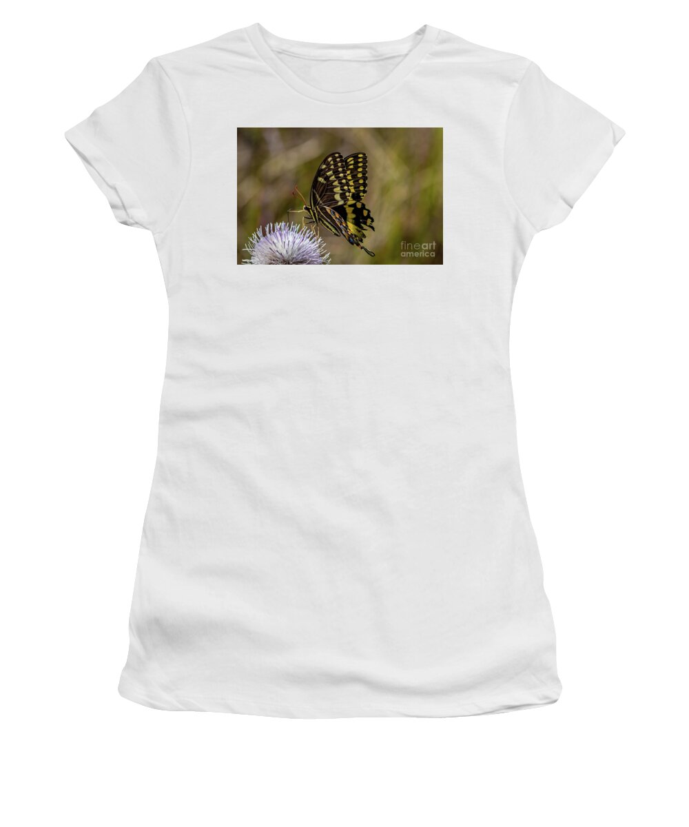 Butterfly Women's T-Shirt featuring the photograph Butterfly on Thistle by Tom Claud