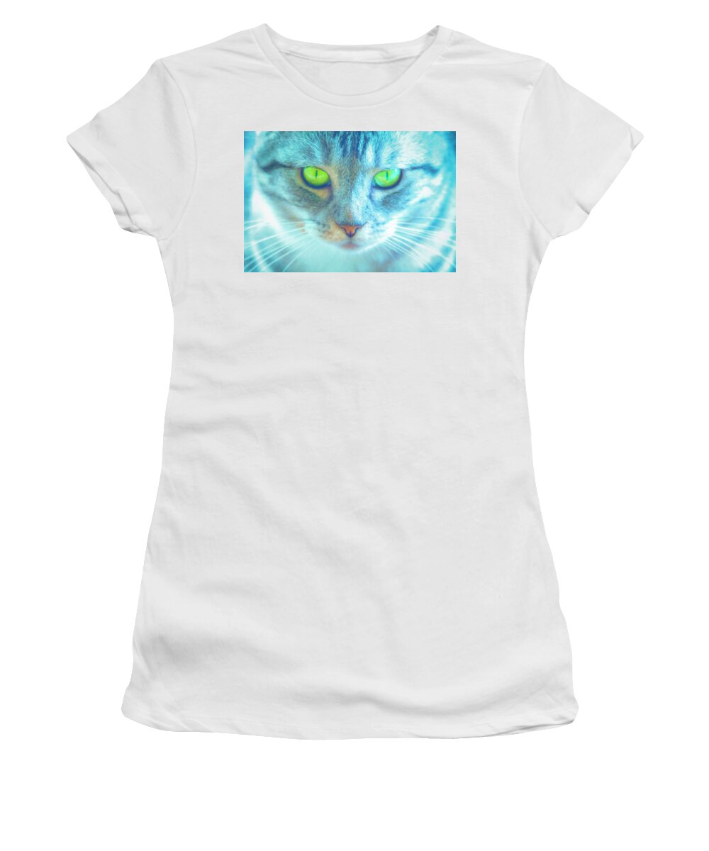 Cat Women's T-Shirt featuring the photograph By The Light of a Cat by Bonnie Follett