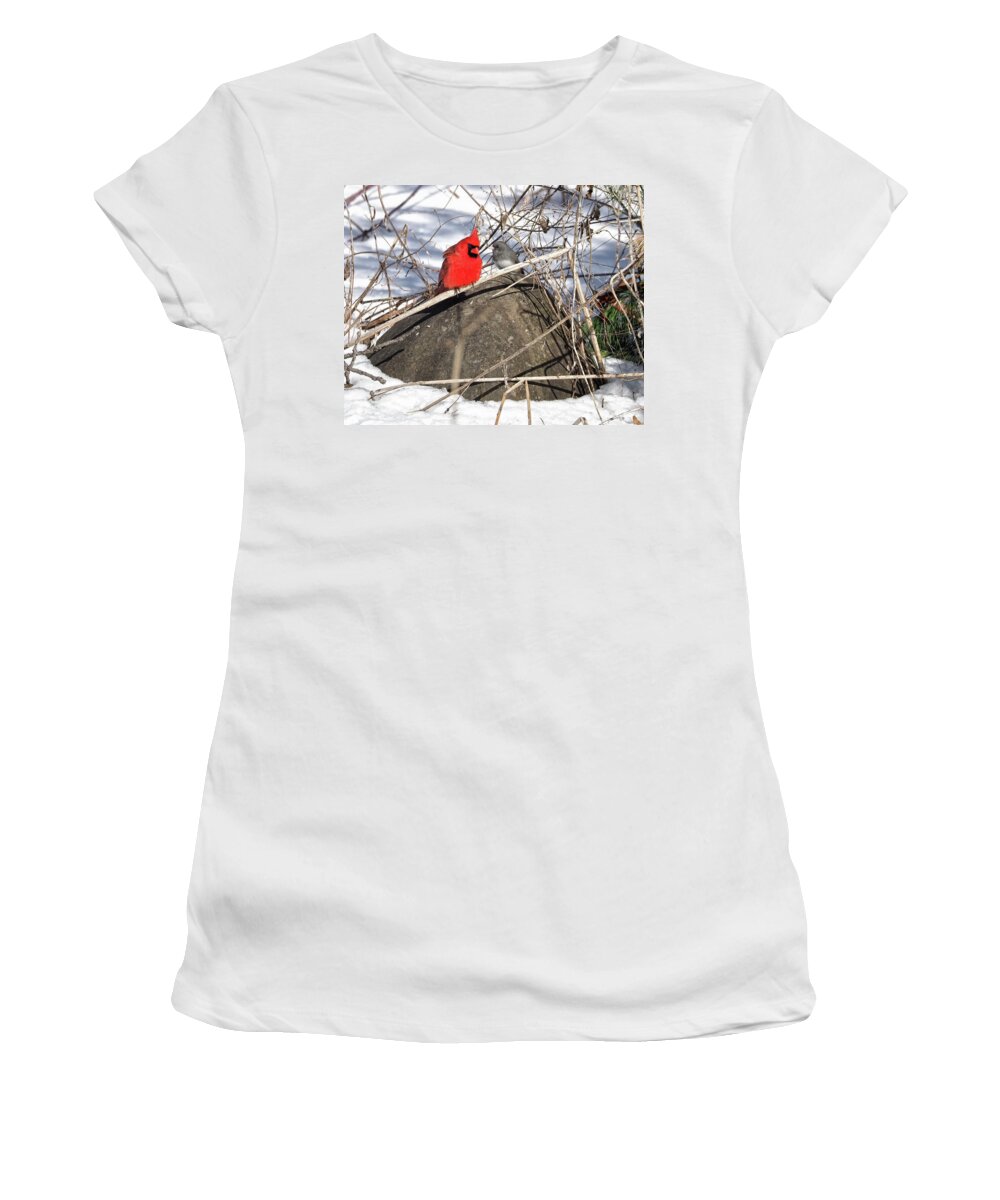 Birds Women's T-Shirt featuring the photograph Cardinal and Dark-eyed Junco by Scott Olsen