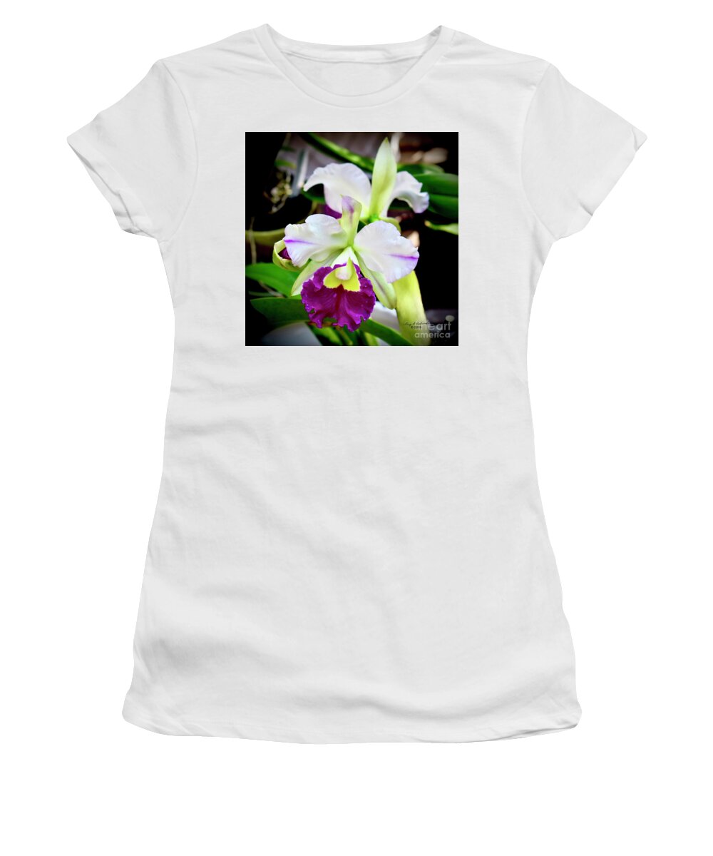 Gary Women's T-Shirt featuring the photograph Cattleya Orchid Purple and White by Gary F Richards