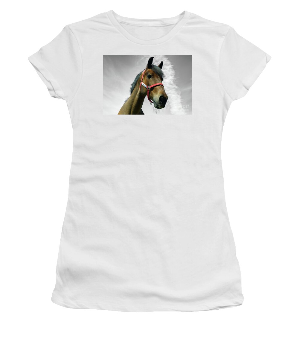 Colt Women's T-Shirt featuring the photograph Chestnut horse - Monochrome sky by Pics By Tony