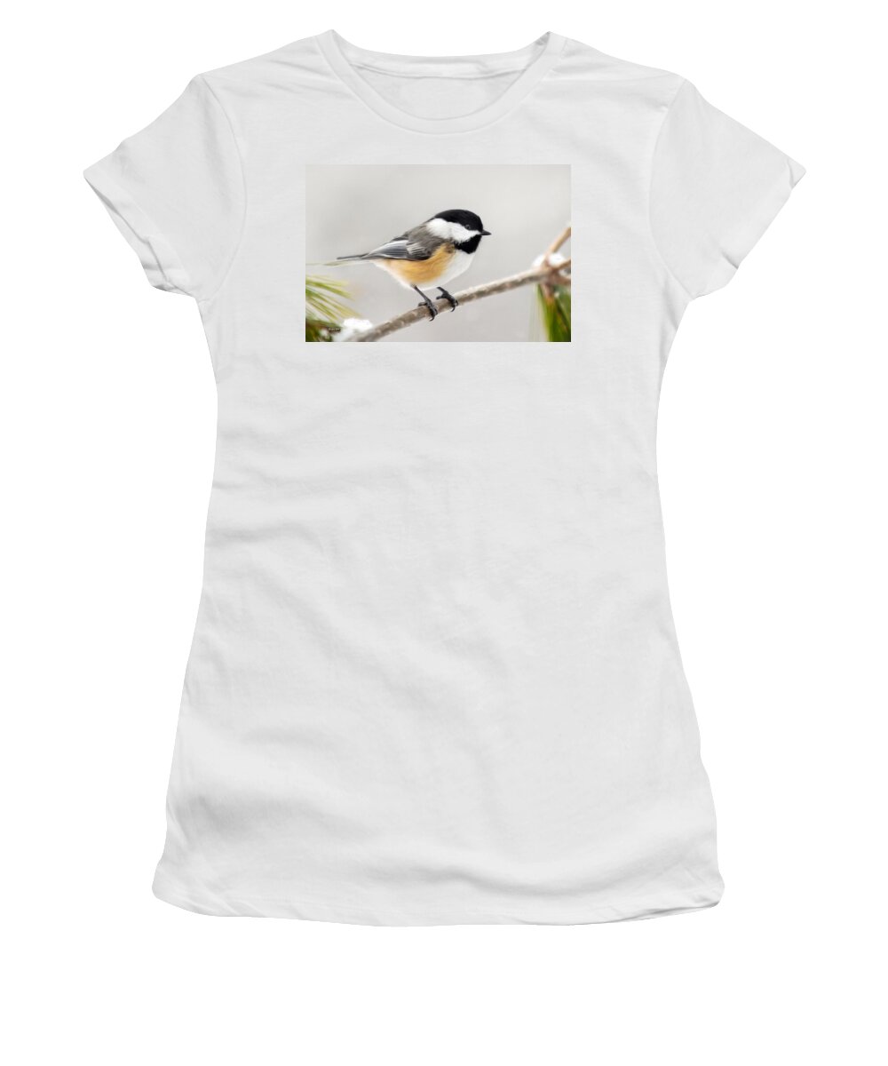 Chickadee Women's T-Shirt featuring the mixed media Chickadee Painting by Christina Rollo