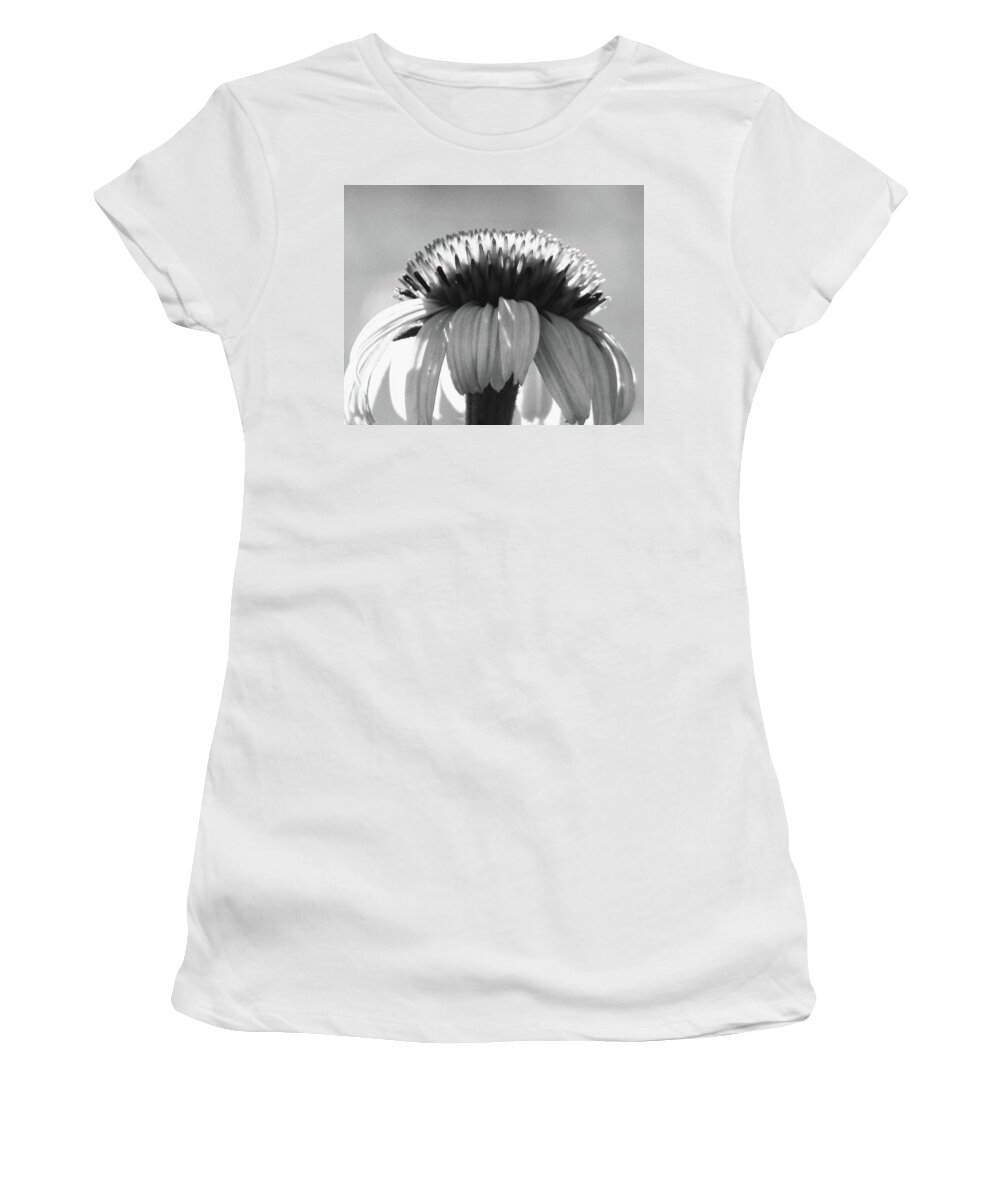 Cone Flower Women's T-Shirt featuring the photograph Cone Flower by Amanda R Wright