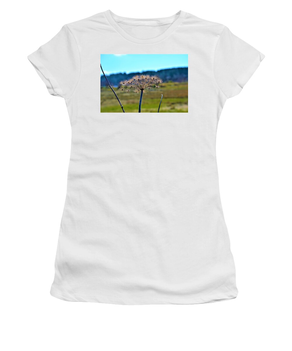 Spring Women's T-Shirt featuring the photograph Coning to Life in Spring by James Cousineau