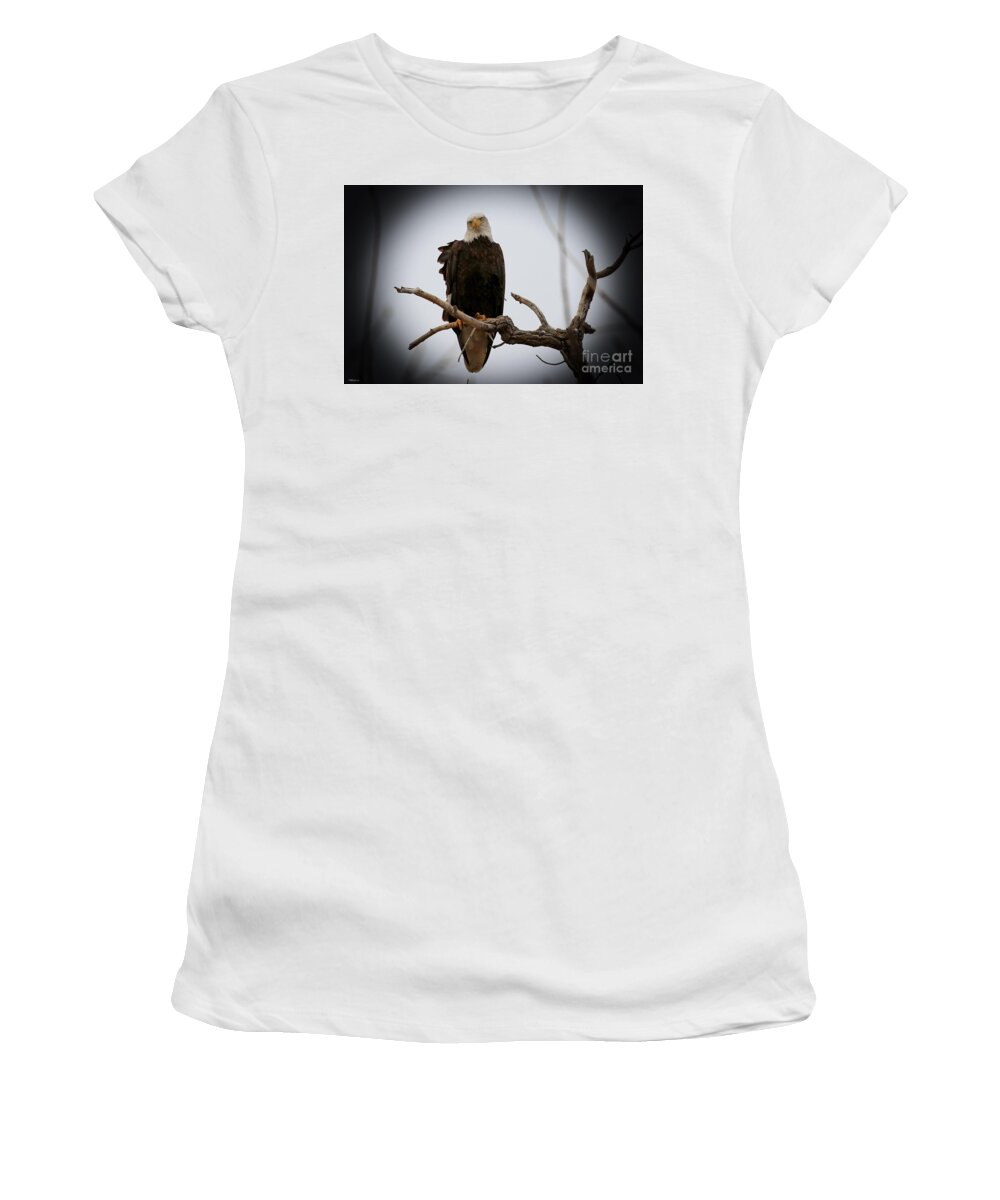 Eagles Women's T-Shirt featuring the photograph Contemplating by Veronica Batterson