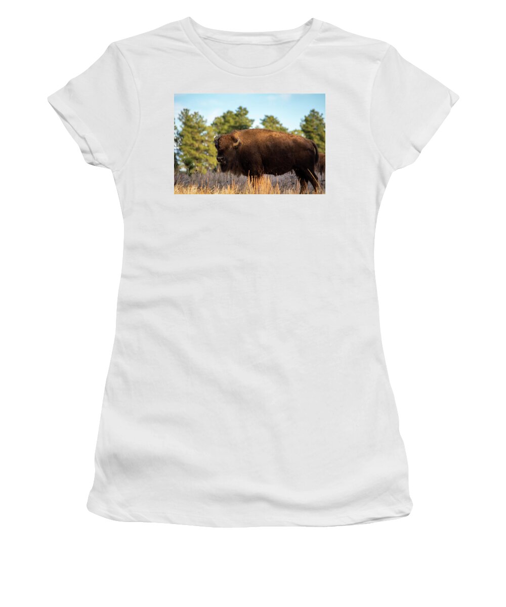 American Bison Women's T-Shirt featuring the photograph Custer South Dakota Bison by Kyle Hanson