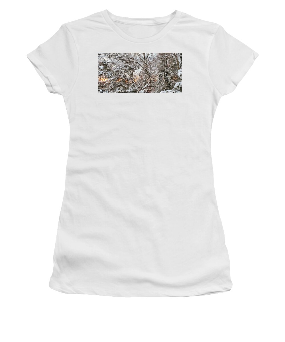 Winter Trees Women's T-Shirt featuring the photograph Dawn Breaks through Freshly Snow Covered Trees by Stacie Siemsen