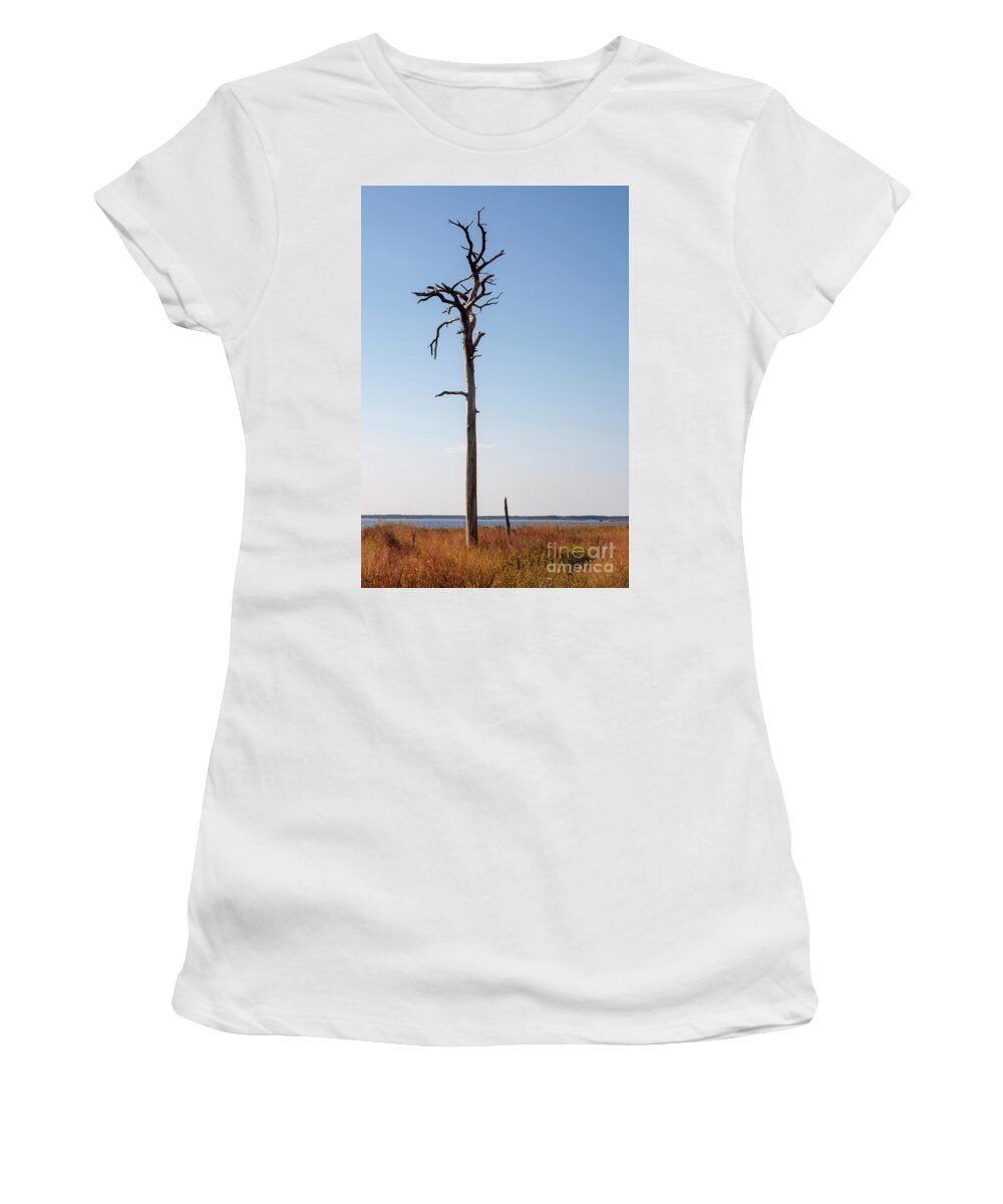 Blackwater Women's T-Shirt featuring the photograph Dead tree at Blackwater Wildlife Refuge in Maryland by William Kuta