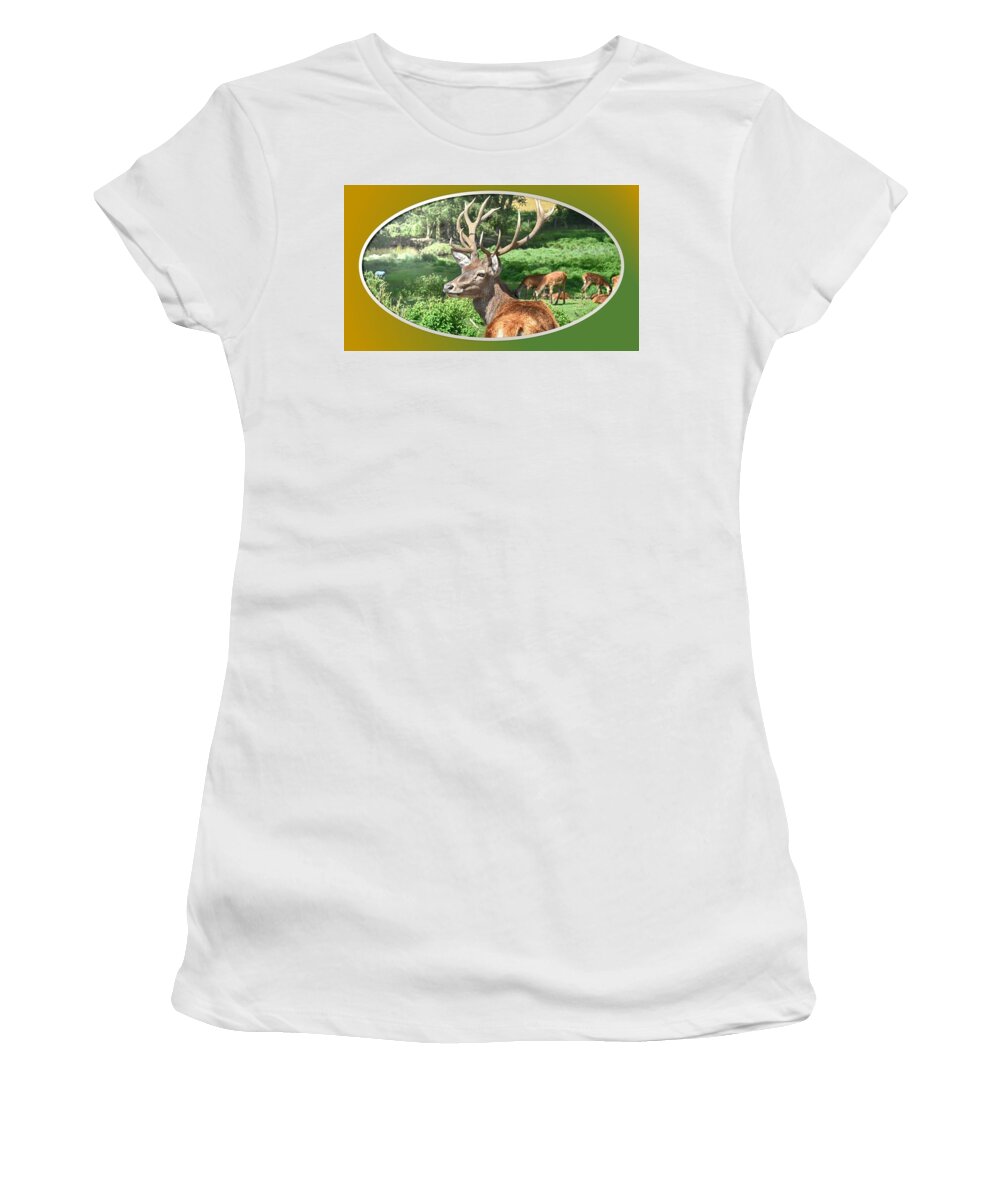 Deer Women's T-Shirt featuring the photograph Deer with Antlers by Nancy Ayanna Wyatt