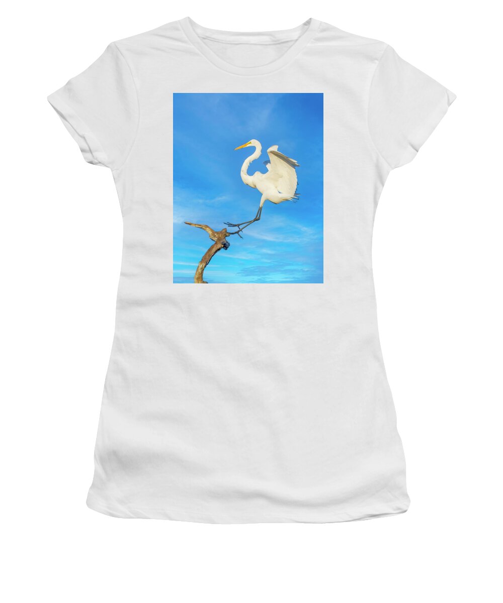 Great White Egret Women's T-Shirt featuring the photograph Descent from the Heavens by Mark Andrew Thomas