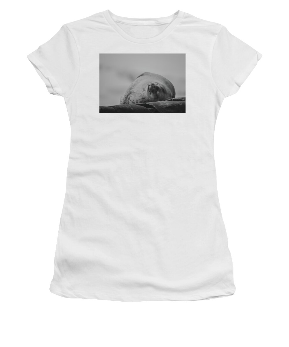 03feb20 Women's T-Shirt featuring the photograph Do Not Awaken - Makes Me Crabby BW by Jeff at JSJ Photography