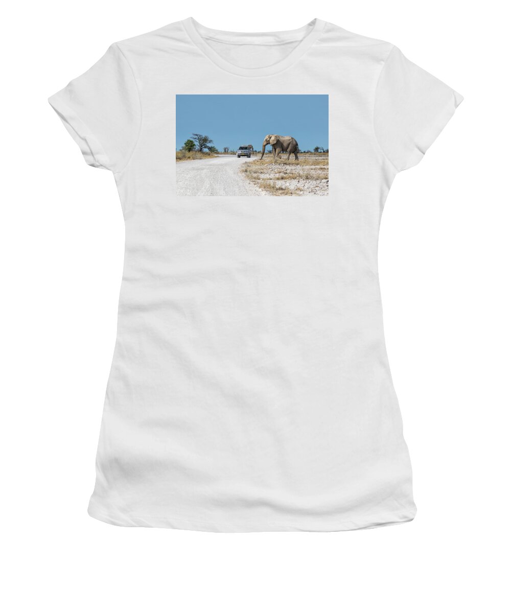 African Elephants Women's T-Shirt featuring the photograph Elephant Crossing by Belinda Greb