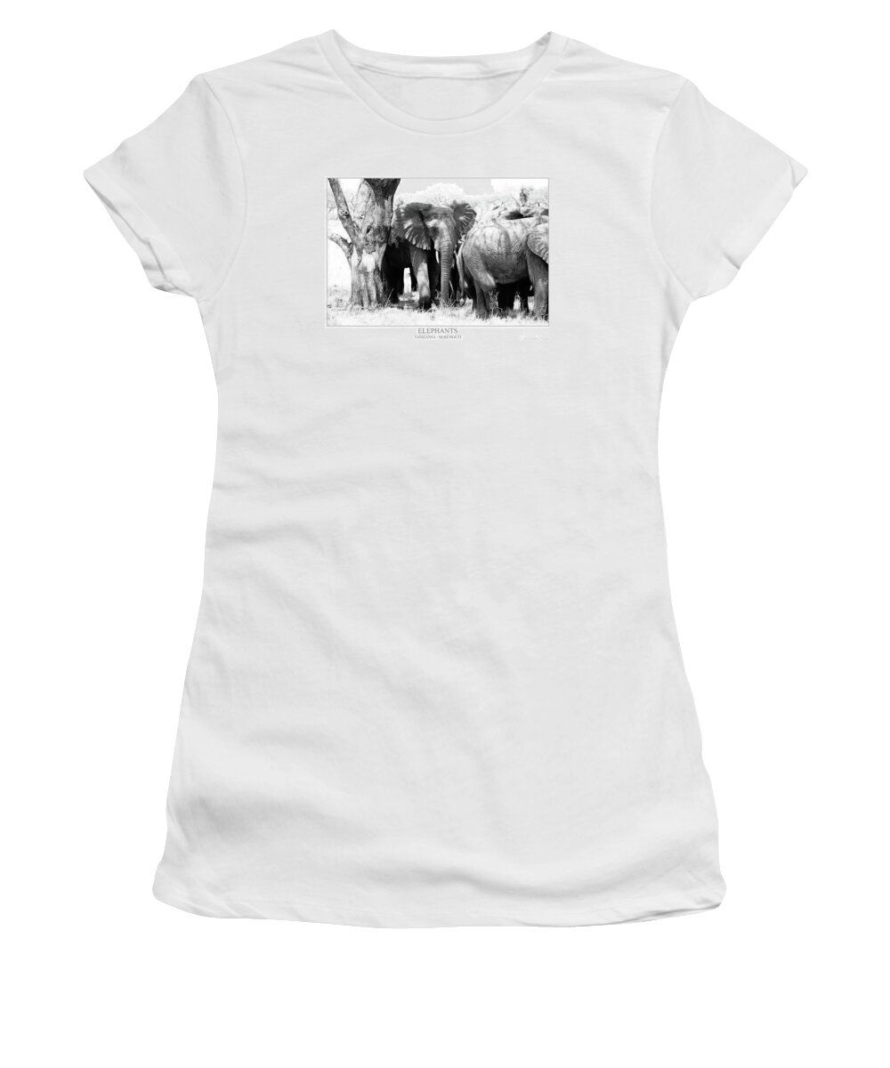 Alessandro Pezzo Women's T-Shirt featuring the photograph Elephants by Alessandro Pezzo