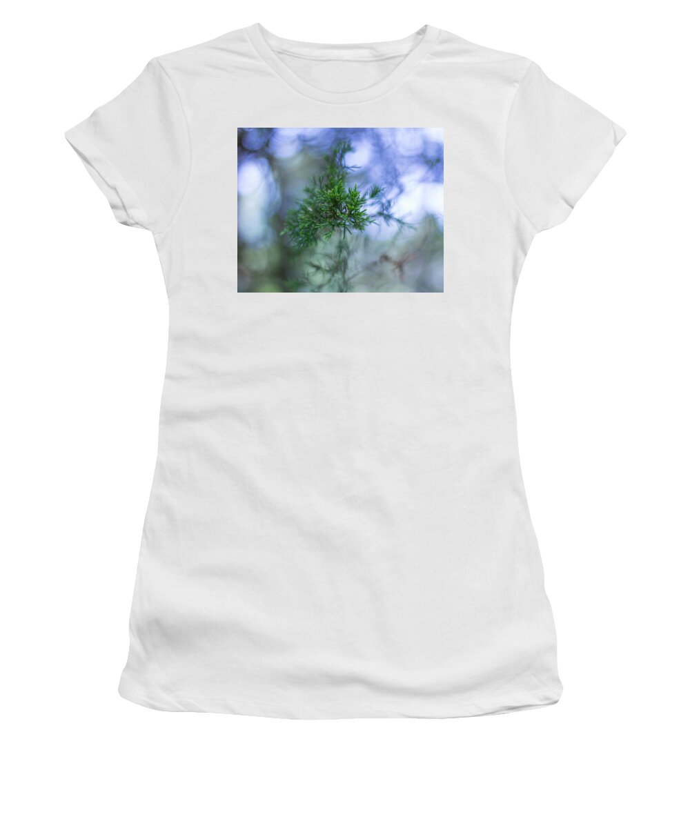 Tree Women's T-Shirt featuring the photograph Evergreen by David Beechum