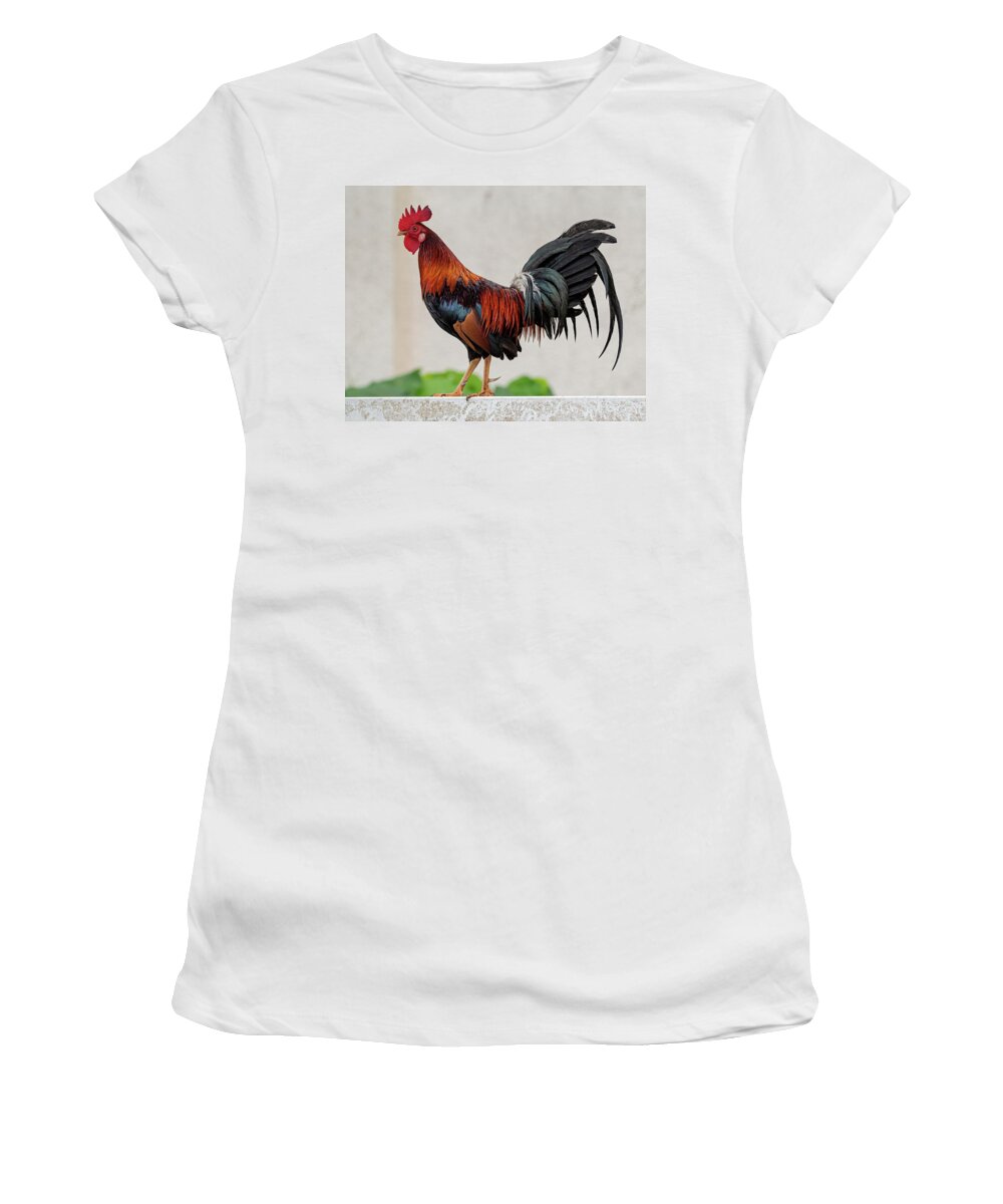 Feral Women's T-Shirt featuring the photograph Feral Rooster by Rick Mosher