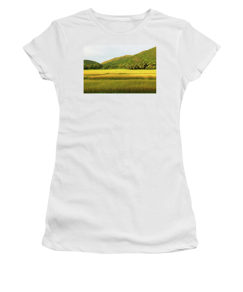 Grass Women's T-Shirt featuring the photograph Fields of Gold by Josu Ozkaritz