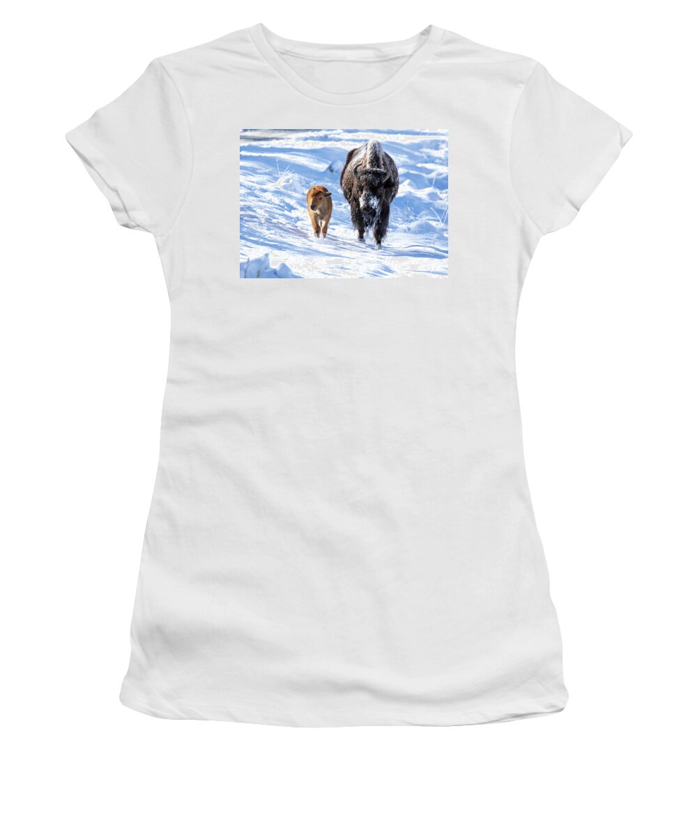 Bison Women's T-Shirt featuring the photograph First Snow by Shari Sommerfeld
