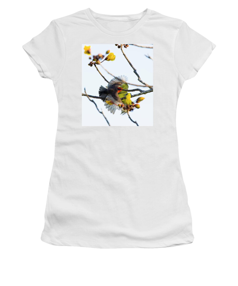 Vermilion Flycatcher Women's T-Shirt featuring the photograph Flycatcher-Kingbird by Shane Bechler