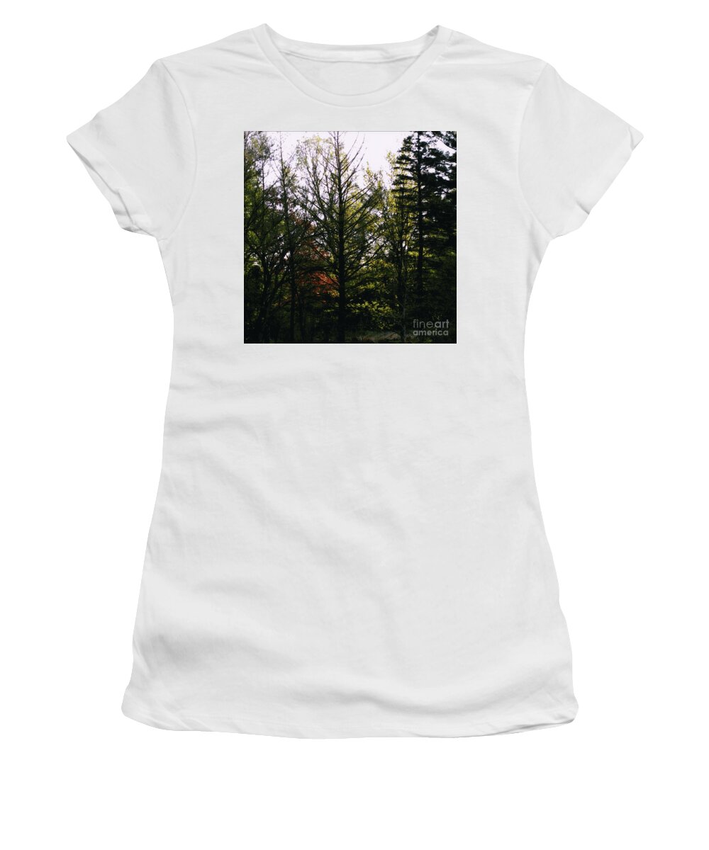 Landscape Women's T-Shirt featuring the photograph Forest Morning Light Impressionism by Frank J Casella