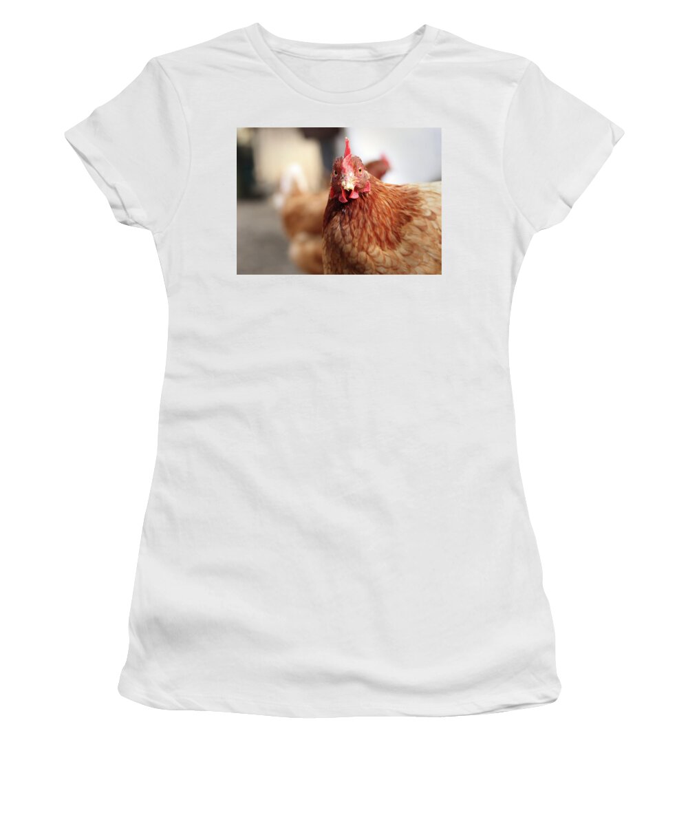 Salute Women's T-Shirt featuring the photograph Funny expression of domestic hen on the garden by Vaclav Sonnek