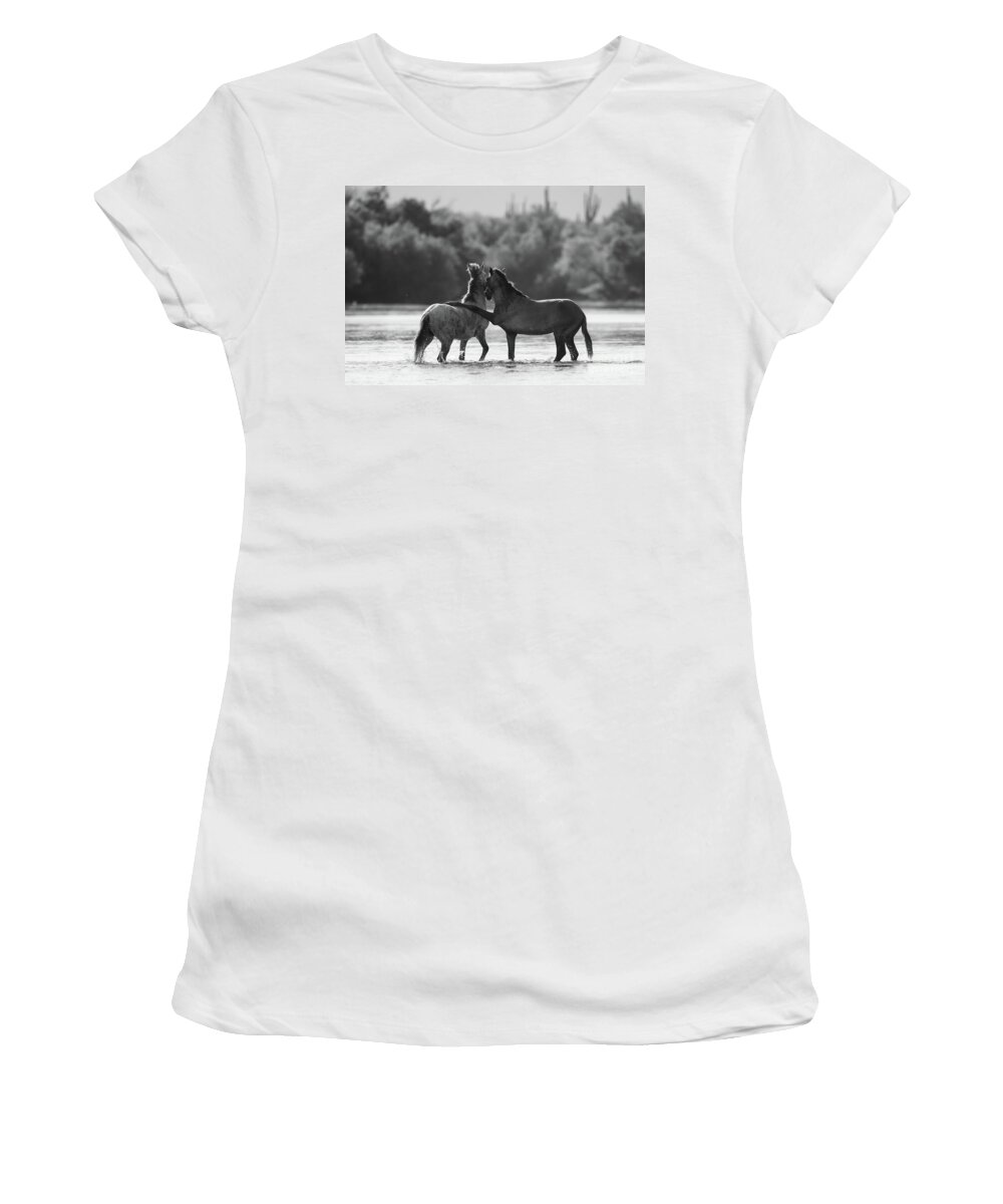 Salt River Wild Horses Women's T-Shirt featuring the photograph Got Your Back by Shannon Hastings