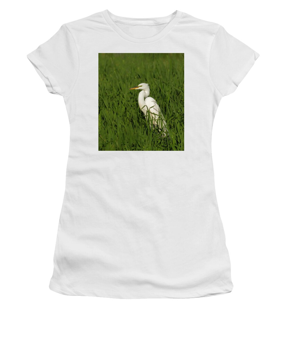 Great Egret Women's T-Shirt featuring the photograph Great Egret 2014-19 by Thomas Young