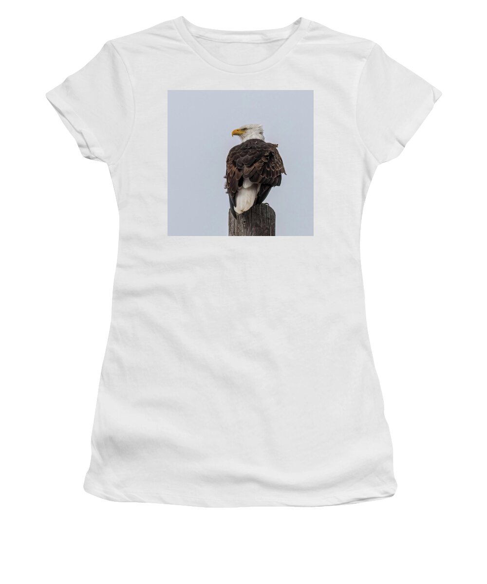 Bald Eagle Women's T-Shirt featuring the photograph Guarding The Nest by Yeates Photography