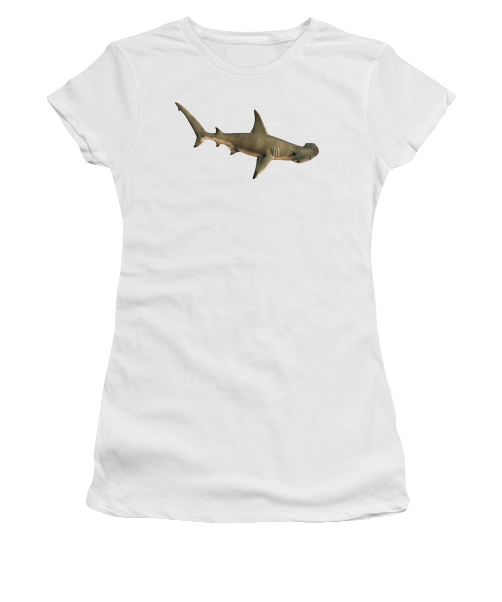 Hammerhead Shark Swimming By Women's T-Shirt by Daniel Eskridge
