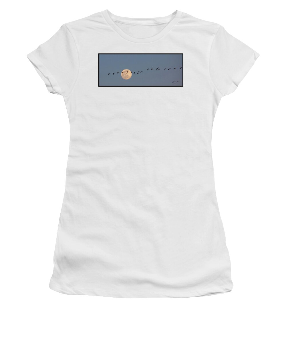 Nature Women's T-Shirt featuring the photograph Headed to Roost by Steve Templeton