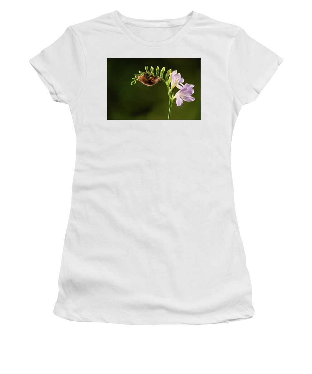 Harvest Women's T-Shirt featuring the photograph Hm-04081 by Miles Herbert