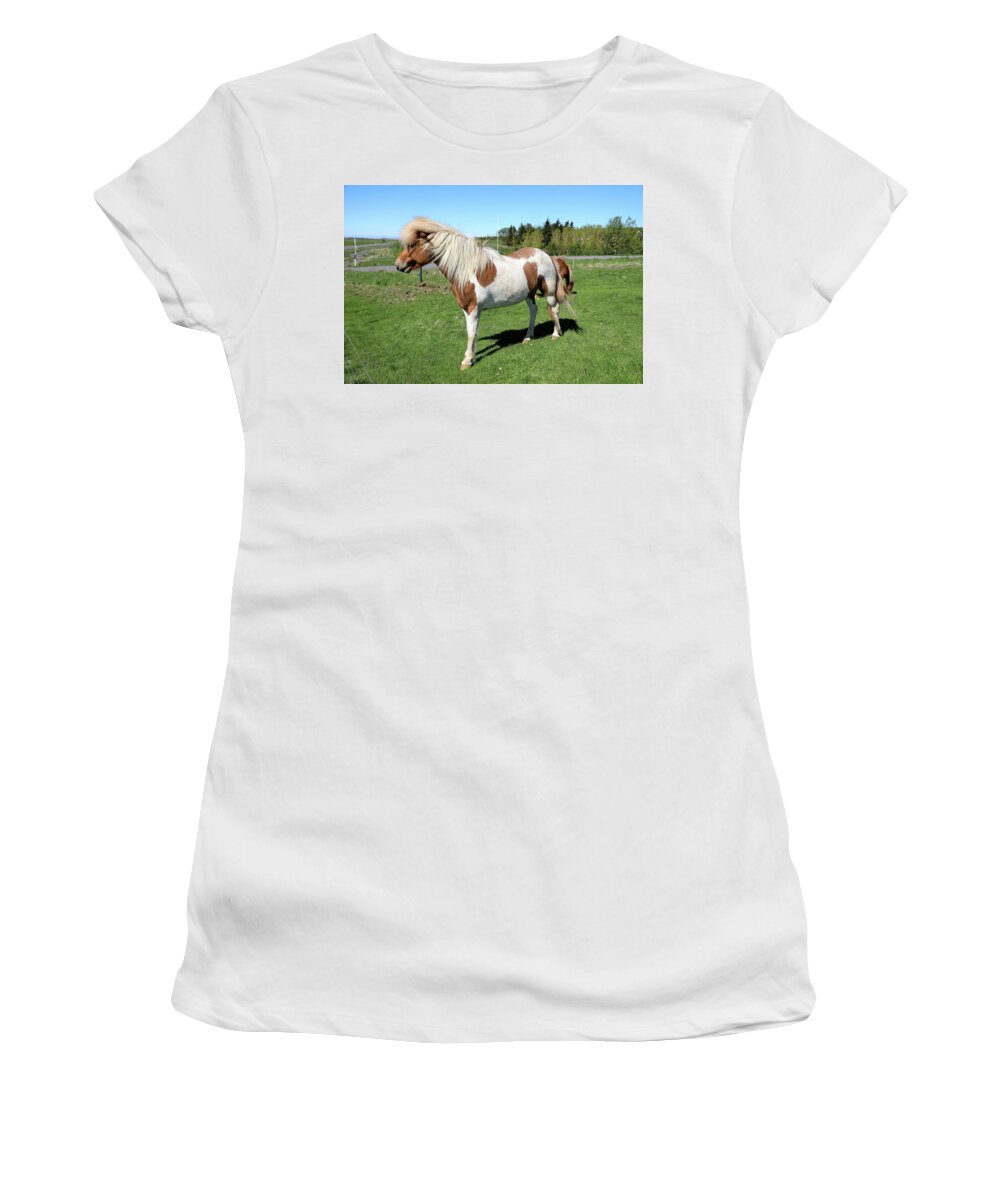 Horse Women's T-Shirt featuring the photograph Icelandic Horse by Richard Krebs