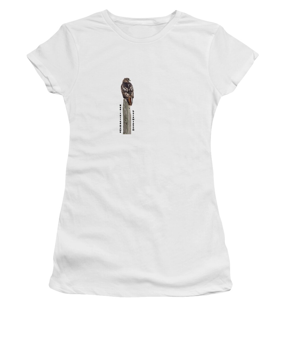 Red-tailed Hawk Women's T-Shirt featuring the photograph Isolated Red-tailed Hawk 2019 by Thomas Young