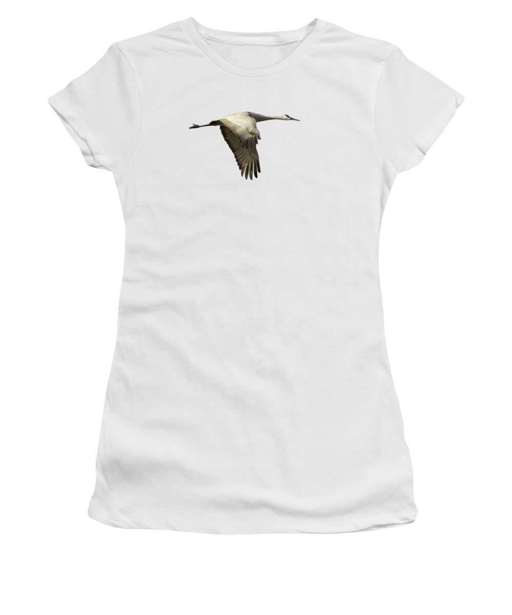 Sandhill Crane Women's T-Shirt featuring the photograph Isolated Sandhill Crane 1-2021 by Thomas Young