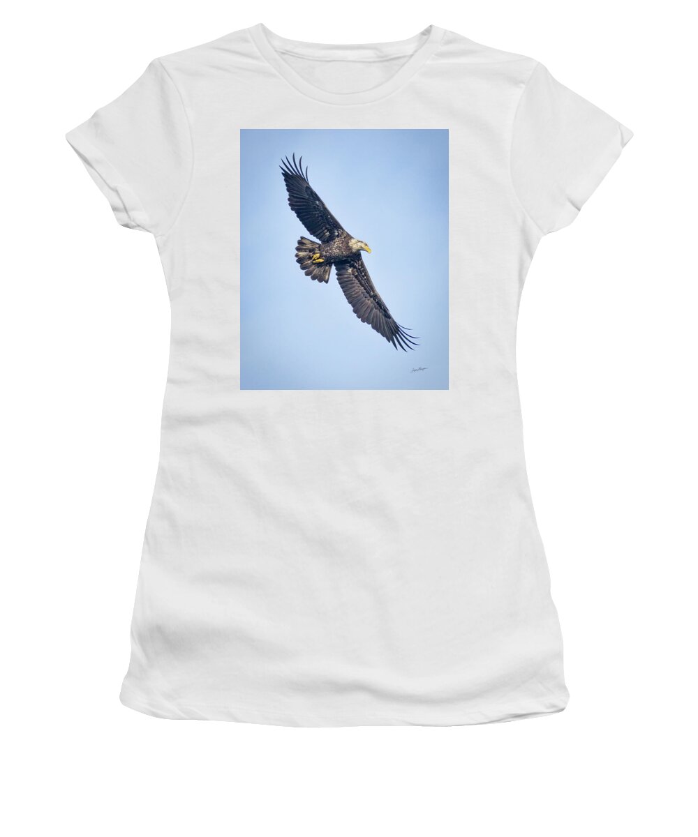 Bald Eagle Women's T-Shirt featuring the photograph Juvenile Bald Eagle by Jurgen Lorenzen