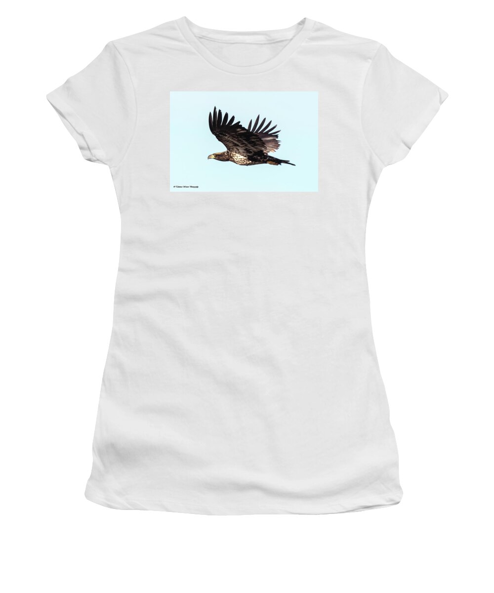 #eagle #bird #raptor #nature #wildlife Women's T-Shirt featuring the photograph Juvenile Eagle in Flight by Tahmina Watson