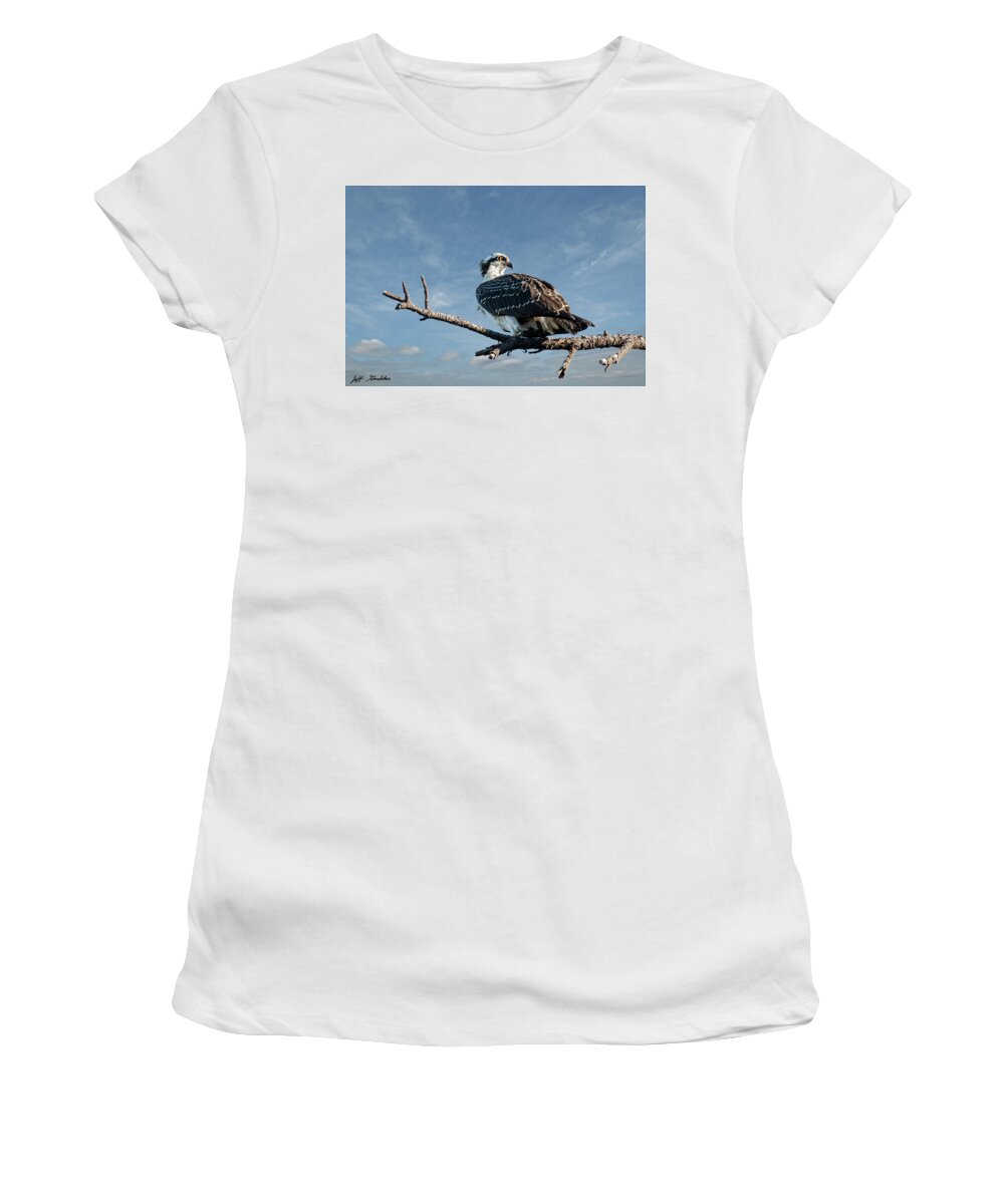 Animal Women's T-Shirt featuring the photograph Juvenile Osprey Perched in a Tree by Jeff Goulden