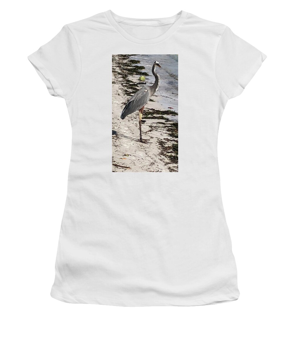 Bird Women's T-Shirt featuring the photograph Le Guardien by Medge Jaspan