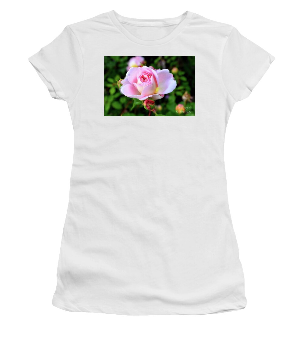 Nature Women's T-Shirt featuring the photograph Let me take you to Fields of Roses 003 by Leonida Arte
