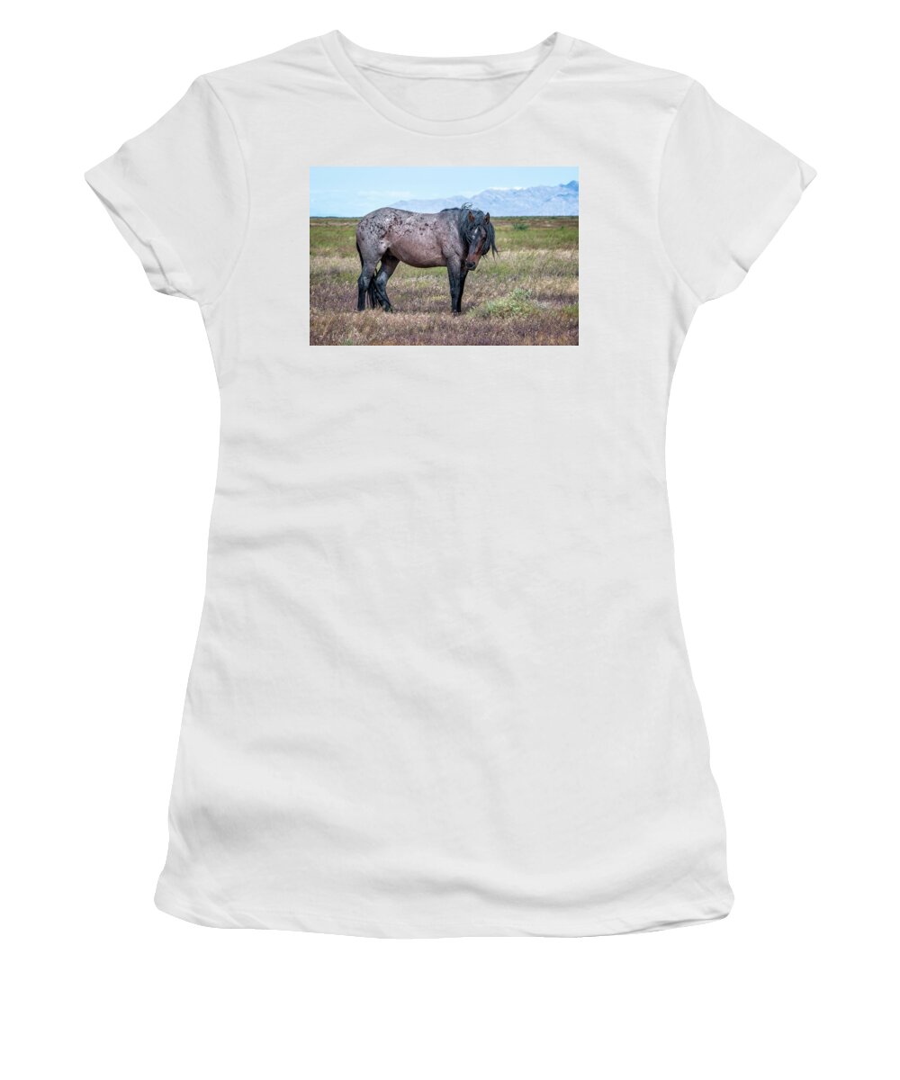 Horse Women's T-Shirt featuring the photograph Lonesome Joe by Jeanette Mahoney