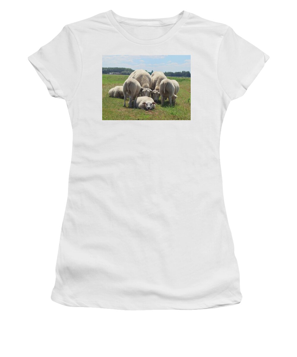 Sheep Women's T-Shirt featuring the photograph Looking for me sheep by MPhotographer