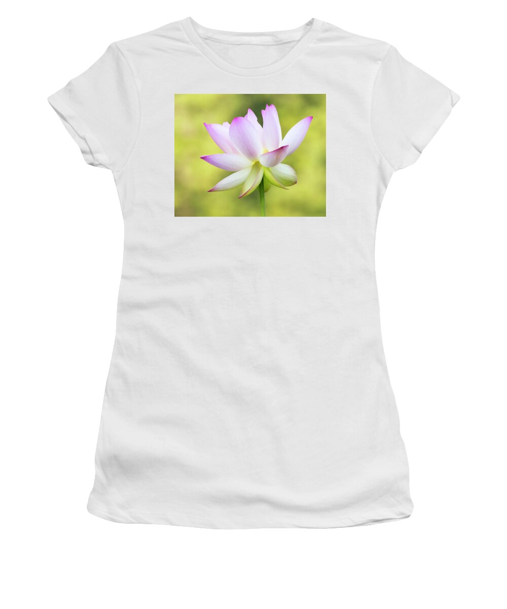 Flower Women's T-Shirt featuring the photograph Lotus Halo by Art Cole