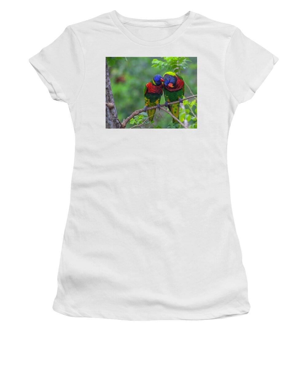 Bird Women's T-Shirt featuring the photograph Love Birds by Matthew Bamberg
