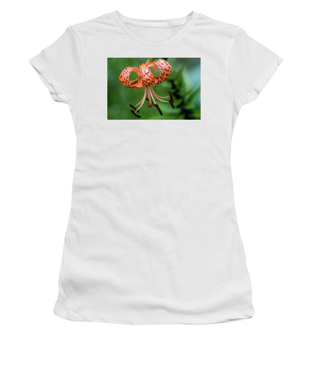 Tiger Lily Women's T-Shirt featuring the photograph Lovely Tiger Lily by Kathy Clark