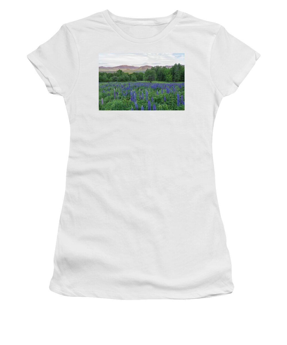 Gar Hill Women's T-Shirt featuring the photograph Lupines Field in White Mountains by Bob Doucette
