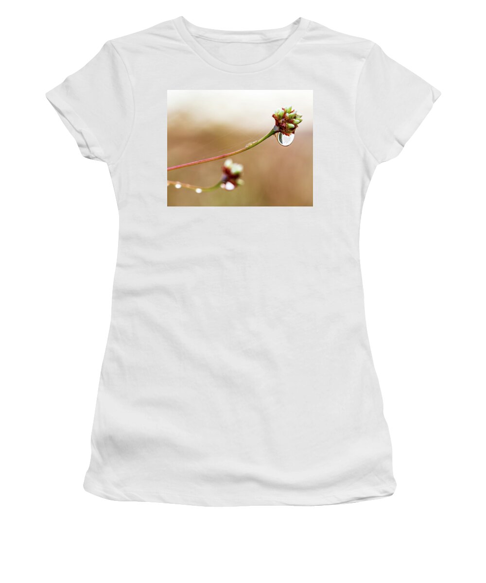 Plants Women's T-Shirt featuring the photograph Macro Photography - Rain Drop in White by Amelia Pearn
