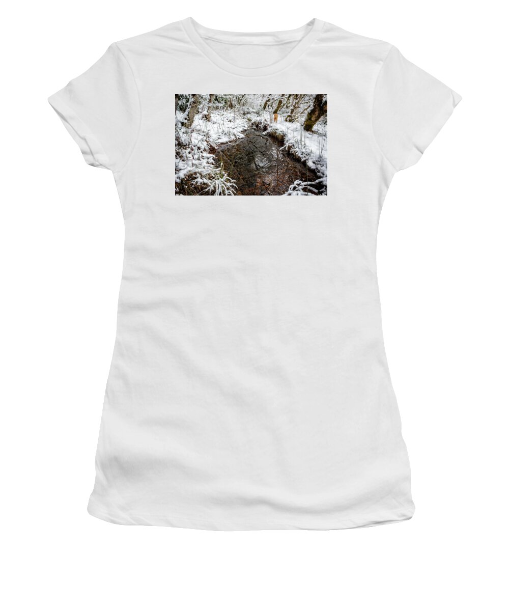 Winter Women's T-Shirt featuring the photograph Maisie at the Pond - Winter by Belinda Greb