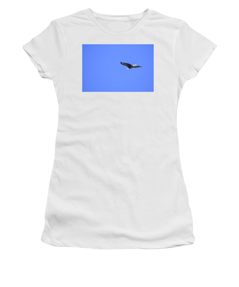 Bird Women's T-Shirt featuring the photograph Majestic flight by Ed Stokes