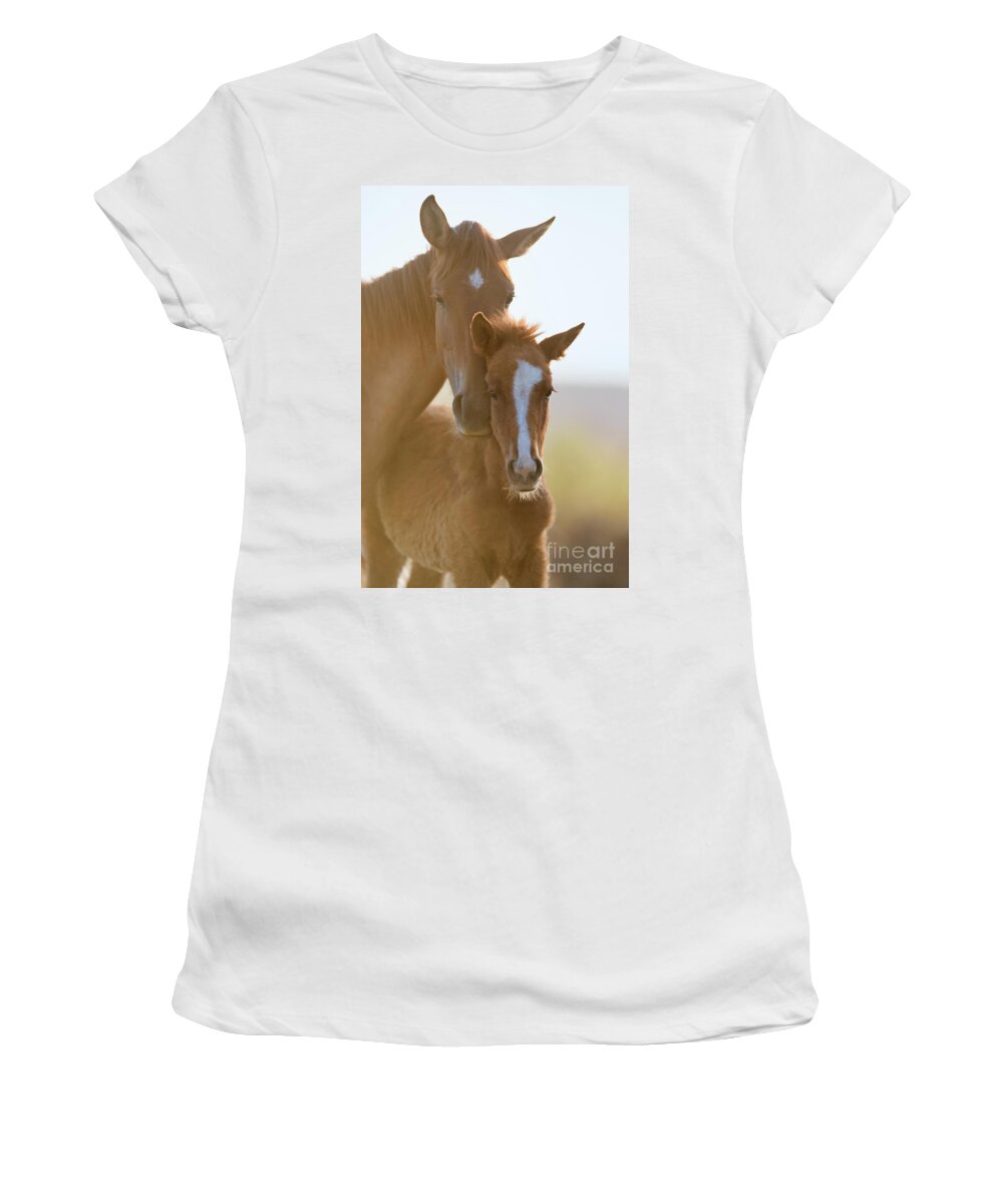 Cute Foal Women's T-Shirt featuring the photograph Morning Portrait by Shannon Hastings