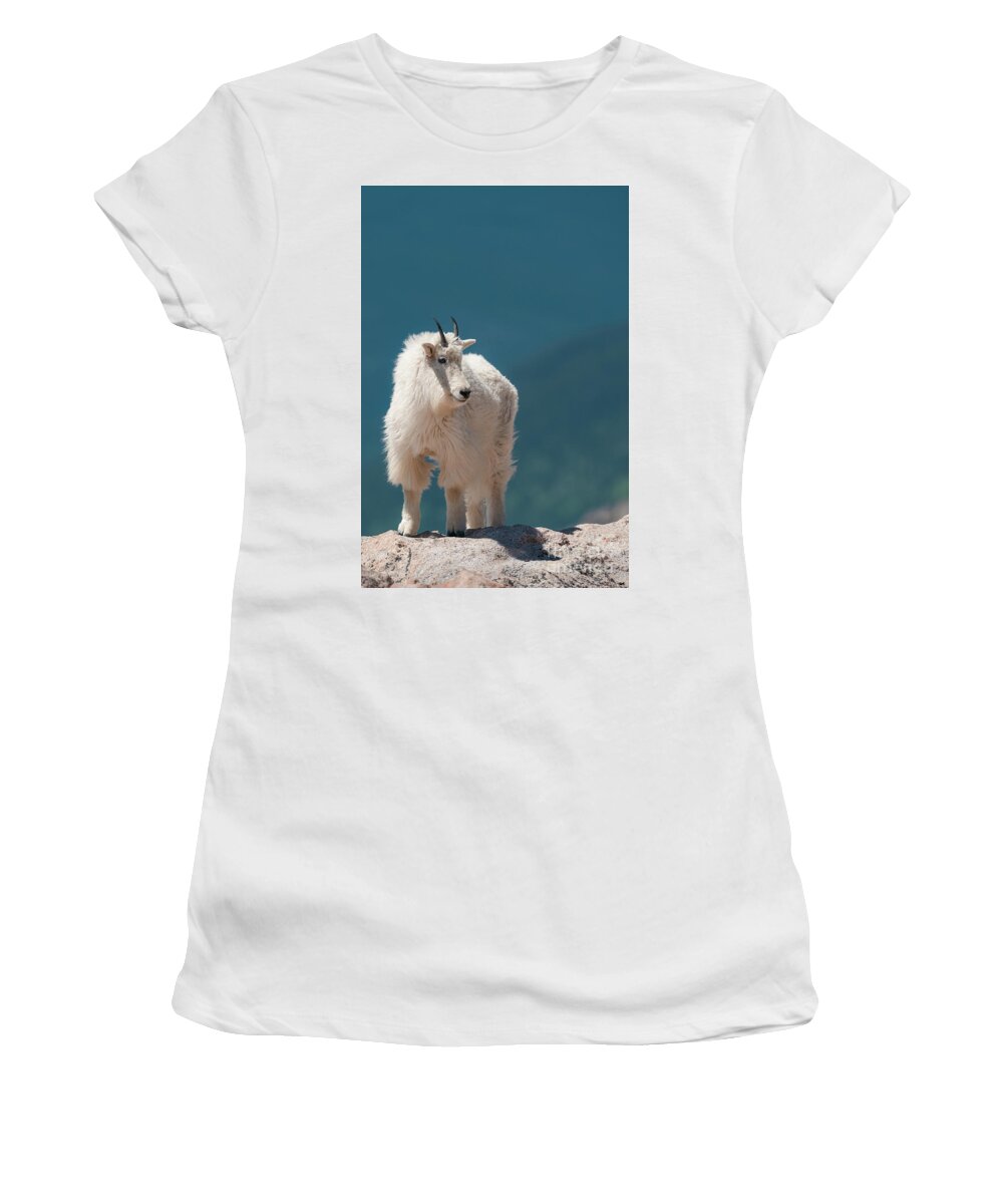 Arapaho National Forest Women's T-Shirt featuring the photograph Mountain Goat by Maresa Pryor-Luzier