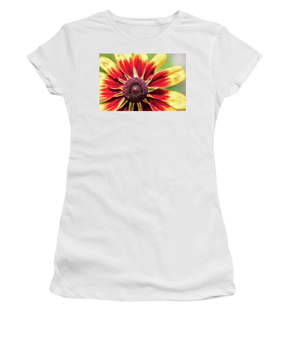 Yellow Flower Women's T-Shirt featuring the photograph Nature Photography Flower Macro by Amelia Pearn